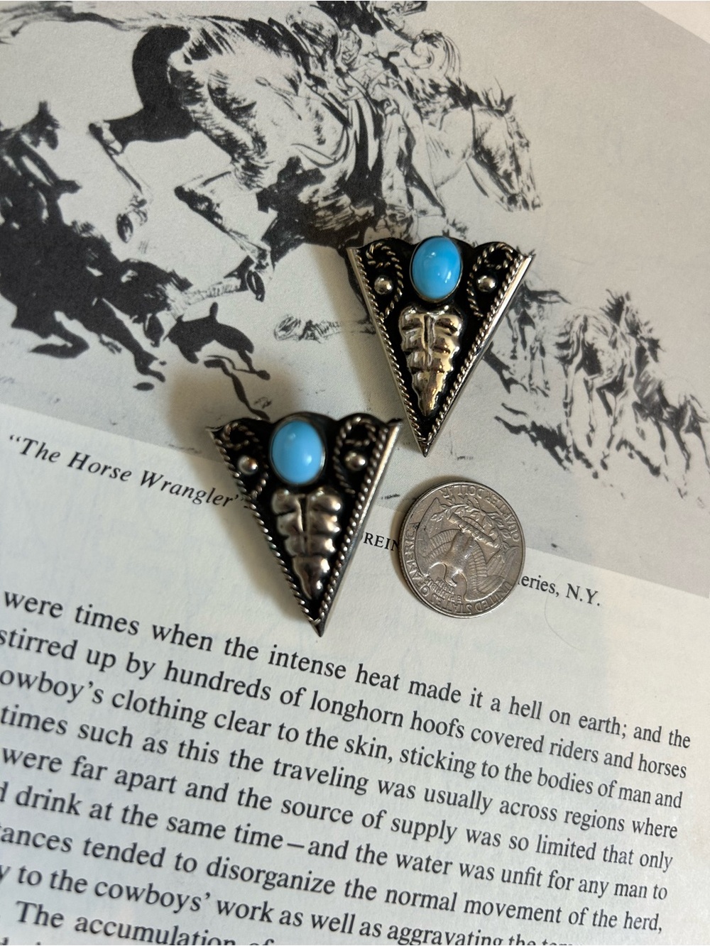 Double D Ranch Turquoise Triangular Silver Collar Tips